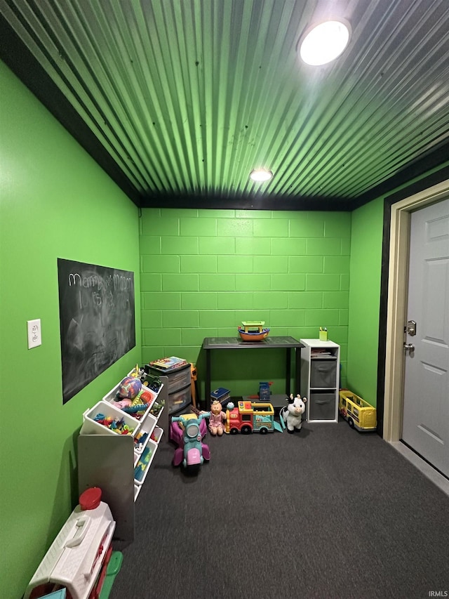 12524 W 545 N, Linton, IN 47441 - playroom with concrete block wall and carpet floors