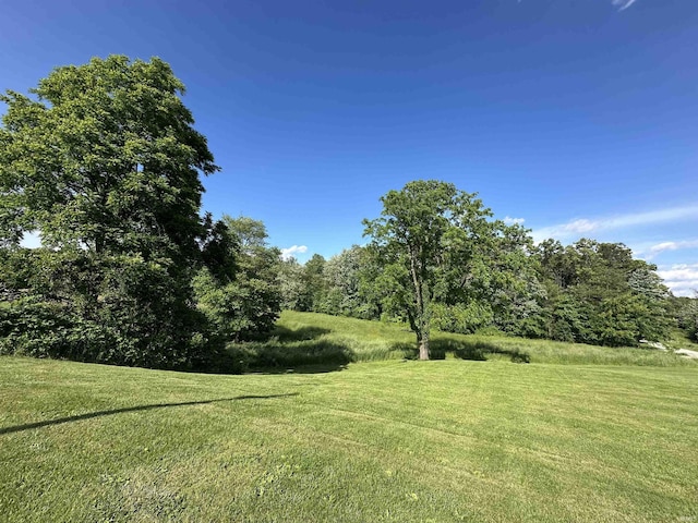 12524 W 545 N, Linton, IN 47441 - view of grassy yard