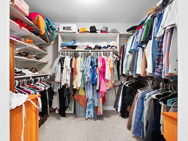 10805 Eagle River Run, Fort Wayne, IN 46845 - walk in closet featuring carpet flooring
