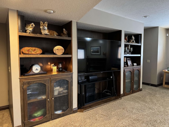 5533 N 150 Rd E, Urbana, IN 46990 - carpeted living room with a textured ceiling, baseboards, and built in features