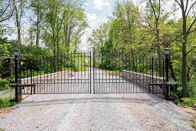8615 W 450 S, Hudson, IN 46747 - view of gate