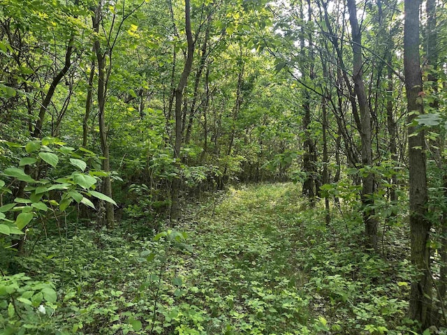 1745 E 250 N, Winamac, IN 46996