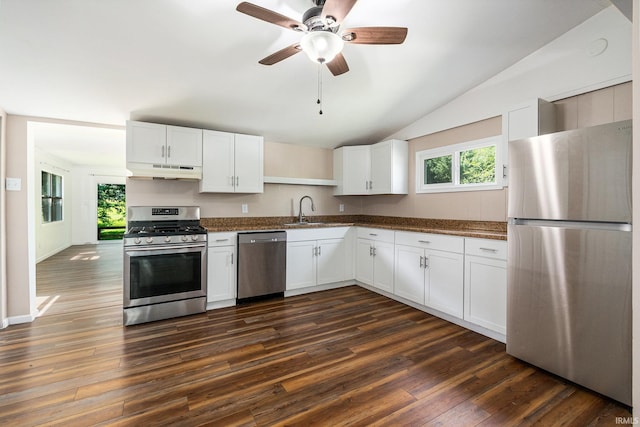 17016 Ruthie Ave, South Bend, IN 46635 - kitchen featuring appliances with stainless steel finishes, under cabinet range hood, lofted ceiling, a sink, and white cabinetry