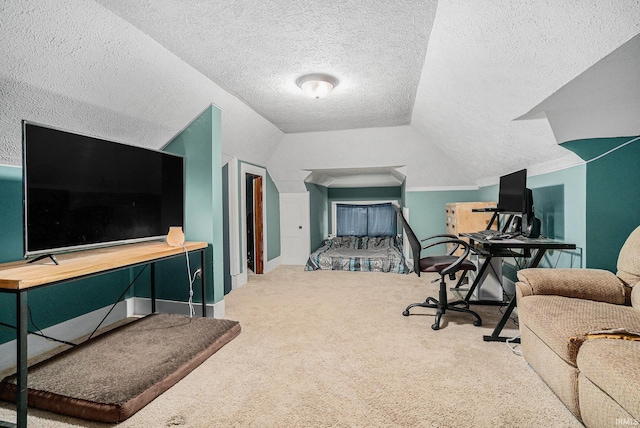407 N Front St, North Manchester, IN 46962 - office with vaulted ceiling, carpet floors, a textured ceiling, and baseboards