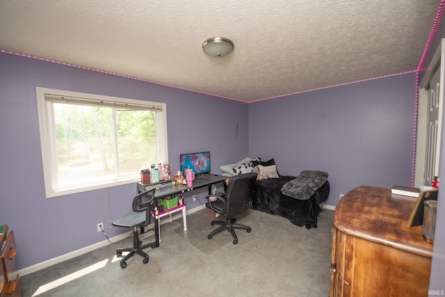 1153 N Diamond Point Ct, Monticello, IN 47960 - carpeted home office with baseboards