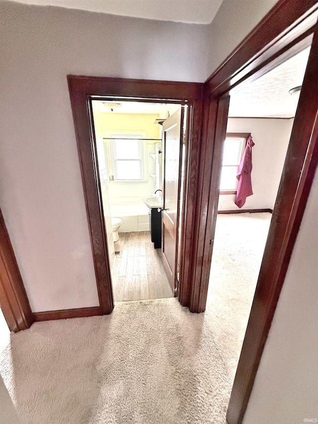 1228 Woodward Ave, New Castle, IN 47362 - hallway featuring carpet flooring, baseboards, and plenty of natural light