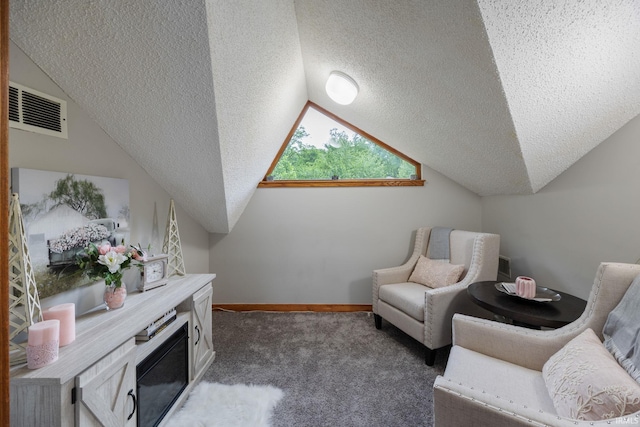 411 N 400 W, West Lafayette, IN 47906 - sitting room with a textured ceiling, carpet, vaulted ceiling, and baseboards