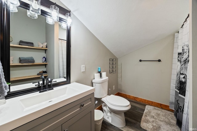 411 N 400 W, West Lafayette, IN 47906 - full bathroom featuring lofted ceiling, wood finished floors, toilet, vanity, and a textured ceiling