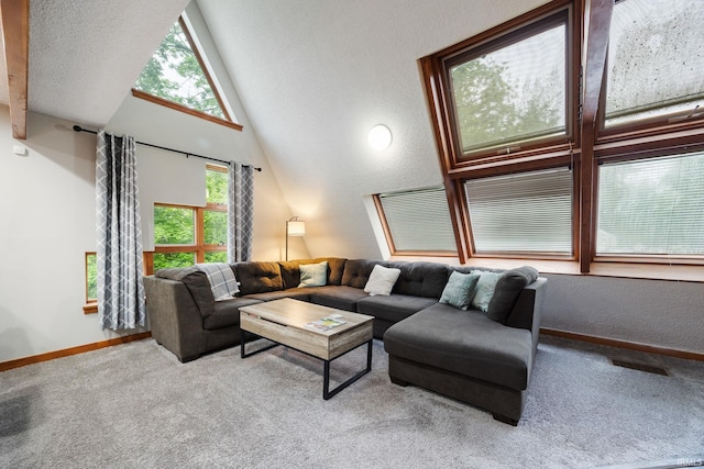 411 N 400 W, West Lafayette, IN 47906 - carpeted living area featuring vaulted ceiling and baseboards