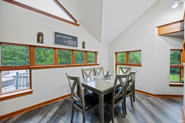 411 N 400 W, West Lafayette, IN 47906 - dining room with baseboards, wood finished floors, and high vaulted ceiling