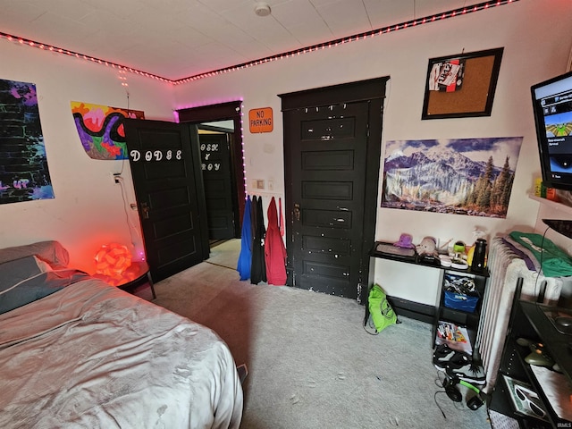 209 Seminary St, Vincennes, IN 47591 - view of carpeted bedroom