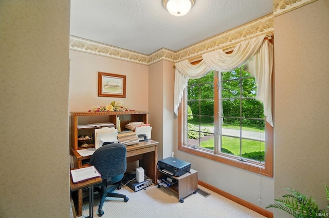 6011 W Wallen Rd, Fort Wayne, IN 46818 - home office with carpet flooring and a textured ceiling