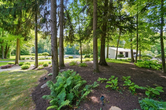 6011 W Wallen Rd, Fort Wayne, IN 46818 - view of yard featuring view of wooded area