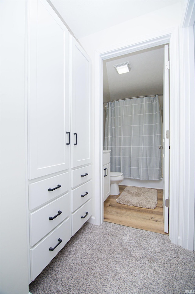 9031 Mill St, Stockwell, IN 47983 - full bathroom with toilet, carpet, and curtained shower