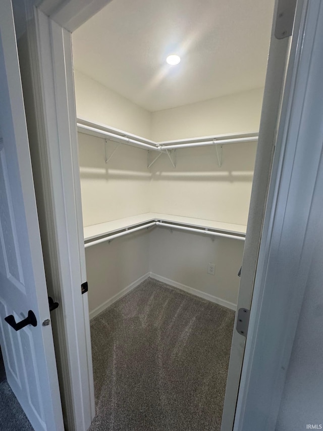 701 Ravine Park Blvd, Attica, IN 47918 - walk in closet with dark colored carpet