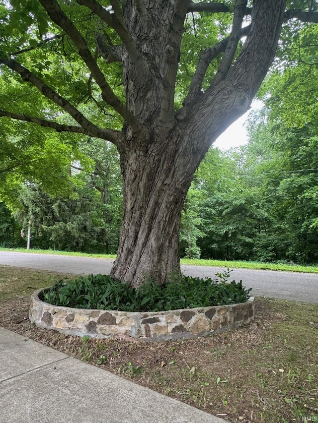 701 Ravine Park Blvd, Attica, IN 47918 - view of yard