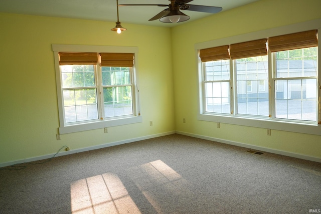 7458 E Lincolnway Rd, Columbia City, IN 46725 - carpeted empty room with plenty of natural light, a ceiling fan, and baseboards
