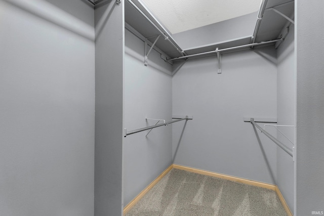 9529 Skipjack Cv, Fort Wayne, IN 46835 - walk in closet featuring carpet floors