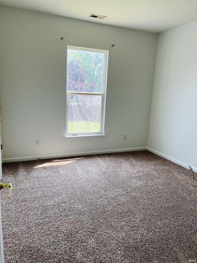 9987 Rainbow Falls Ln, Fishers, IN 46037 - empty room with carpet flooring and baseboards