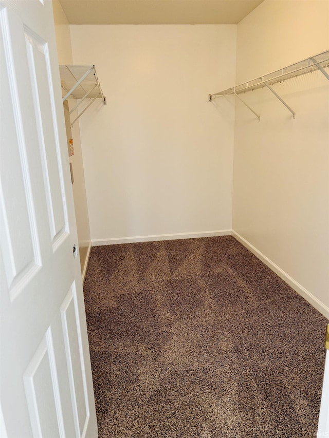 9987 Rainbow Falls Ln, Fishers, IN 46037 - view of spacious closet