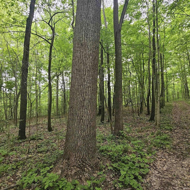 TBD W 100 N, Huntington, IN 46750