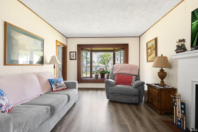 913 Cedar St, Elkhart, IN 46514 - living room featuring dark wood-style flooring, a textured ceiling, ornamental molding, wood walls, and a fireplace with flush hearth
