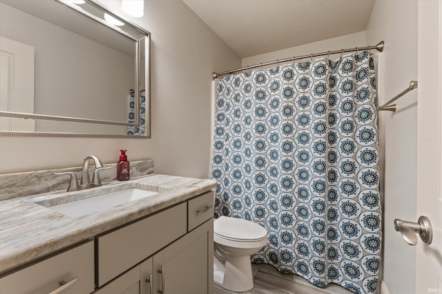 7503 Toscana Ct, Granger, IN 46530 - bathroom featuring vanity, toilet, wood finished floors, and a shower with shower curtain