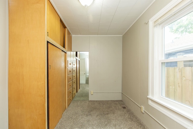 1002 S 33rd St, South Bend, IN 46615 - corridor featuring carpet flooring and ornamental molding