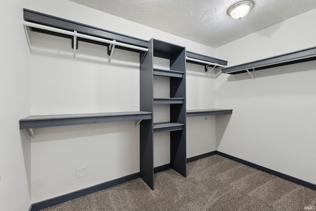 6226 Wheeling Ave, Muncie, IN 47304 - walk in closet with dark carpet