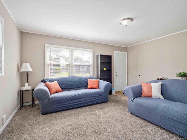 254 Forrest Ave, Wabash, IN 46992 - living room featuring carpet floors, ornamental molding, and baseboards