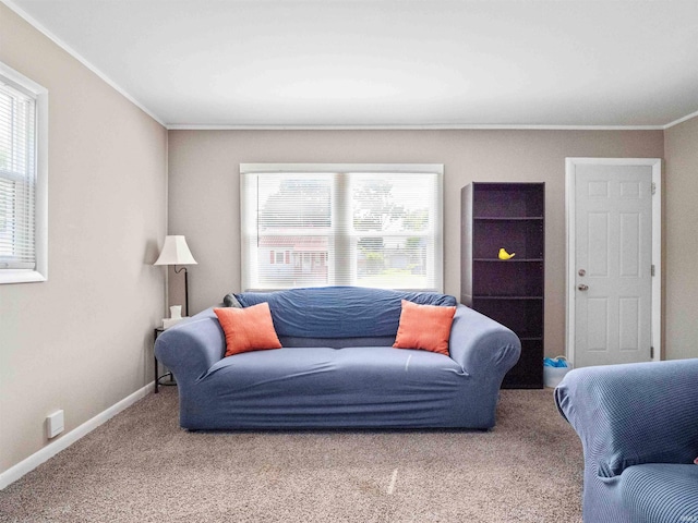 254 Forrest Ave, Wabash, IN 46992 - carpeted living area featuring crown molding, plenty of natural light, and baseboards