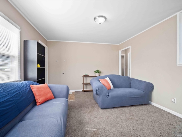 254 Forrest Ave, Wabash, IN 46992 - carpeted living area featuring baseboards and crown molding