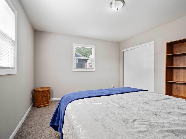 254 Forrest Ave, Wabash, IN 46992 - bedroom featuring carpet, baseboards, and a closet