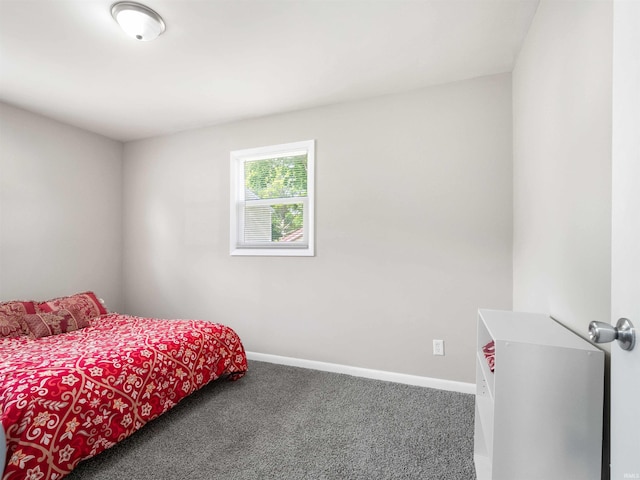 254 Forrest Ave, Wabash, IN 46992 - bedroom featuring carpet floors and baseboards