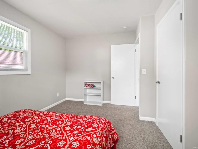 254 Forrest Ave, Wabash, IN 46992 - carpeted bedroom featuring baseboards