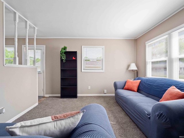254 Forrest Ave, Wabash, IN 46992 - living room with carpet floors, baseboards, and ornamental molding