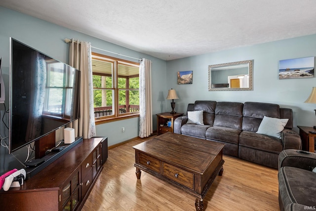 30986 Creekwood Ter, Osceola, IN 46561 - living area with light wood-style floors, a textured ceiling, and baseboards