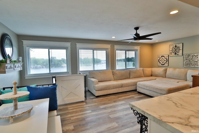 5547 N W Shafer Dr, Monticello, IN 47960 - living area featuring light wood-style flooring, a ceiling fan, and recessed lighting
