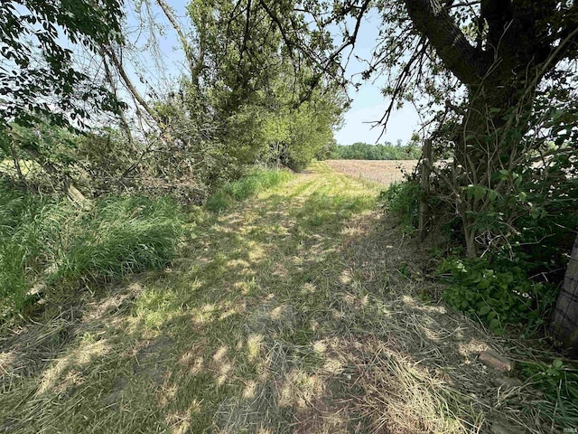 1020 E State St, Albany, IN 47320 - view of yard