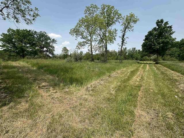 1020 E State St, Albany, IN 47320 - view of nature