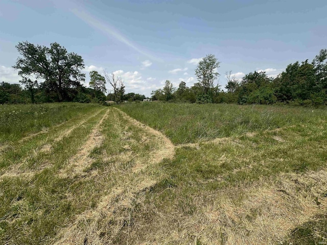 1020 E State St, Albany, IN 47320 - view of nature with rural landscape