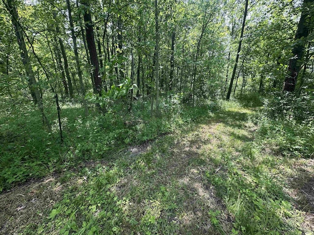 1020 E State St, Albany, IN 47320 - view of wooded area