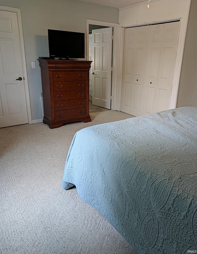 5 E Viola Ave, Washington, IN 47501 - bedroom with light colored carpet and a closet