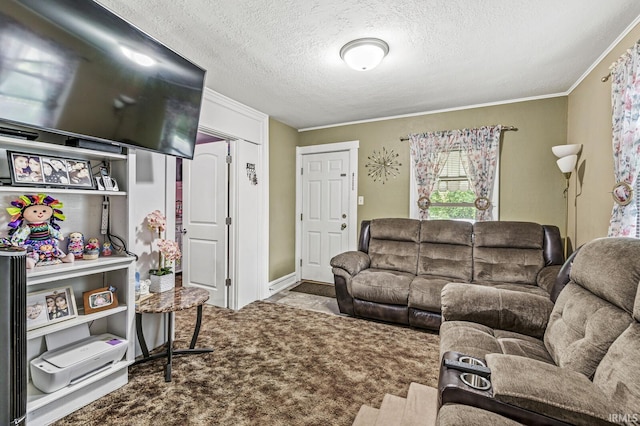 719 W Franklin St, Elkhart, IN 46516 - living room featuring crown molding, carpet, and a textured ceiling