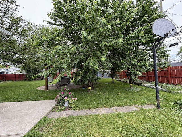 4026 S Lafayette St, Fort Wayne, IN 46806 - view of yard