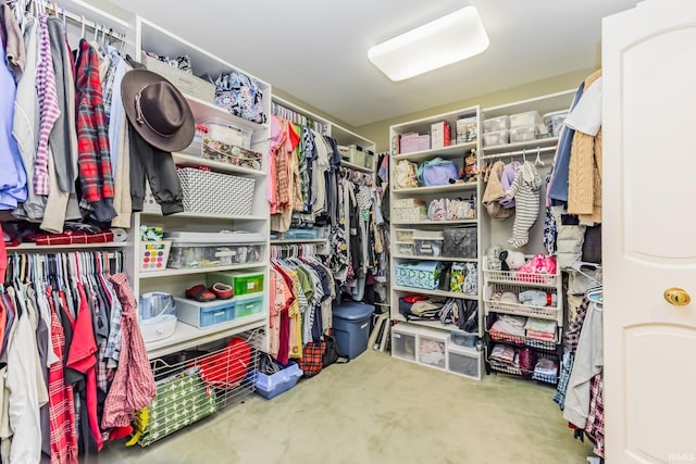 8804 W Tulip Tree Dr, Muncie, IN 47304 - spacious closet with carpet