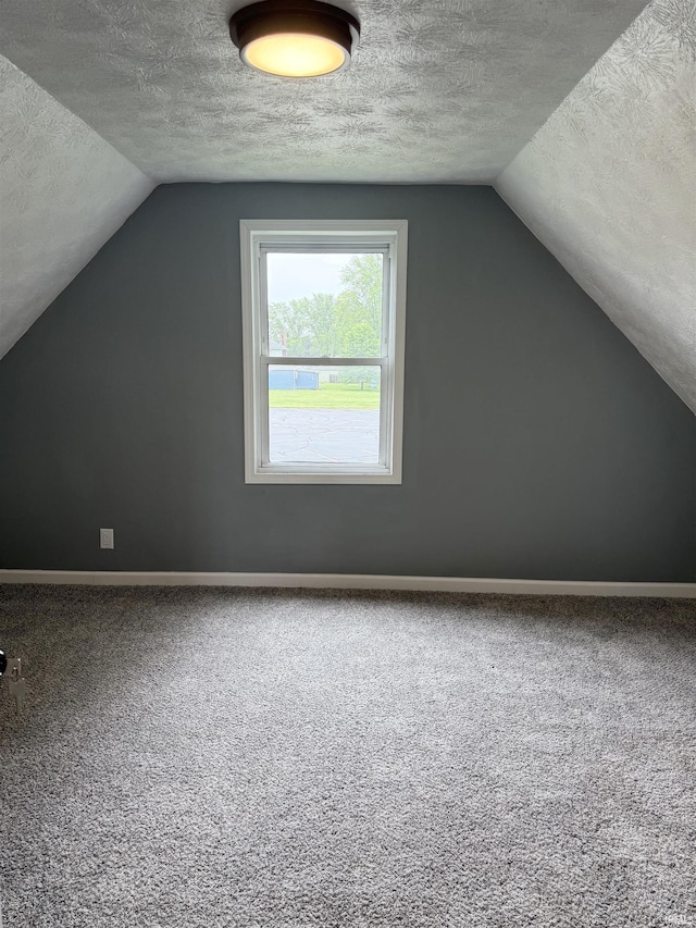 406 W N St, Kokomo, IN 46901 - bonus room with a textured ceiling, vaulted ceiling, baseboards, and carpet floors