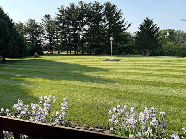 1764 County Road 66th Rd, Auburn, IN 46706 - view of grassy yard
