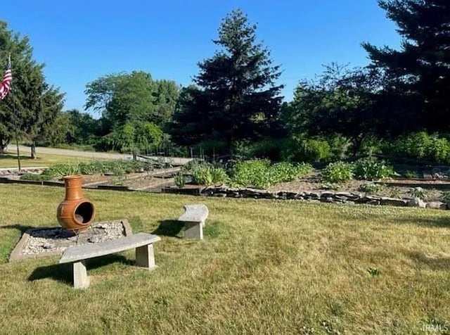 1764 County Road 66th Rd, Auburn, IN 46706 - view of property's community with a lawn