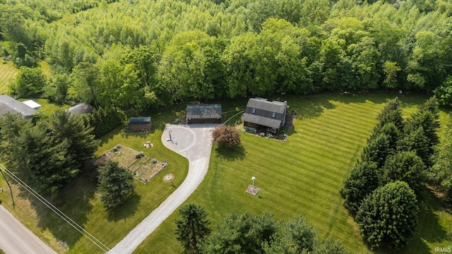 1764 County Road 66th Rd, Auburn, IN 46706 - bird's eye view of a forest